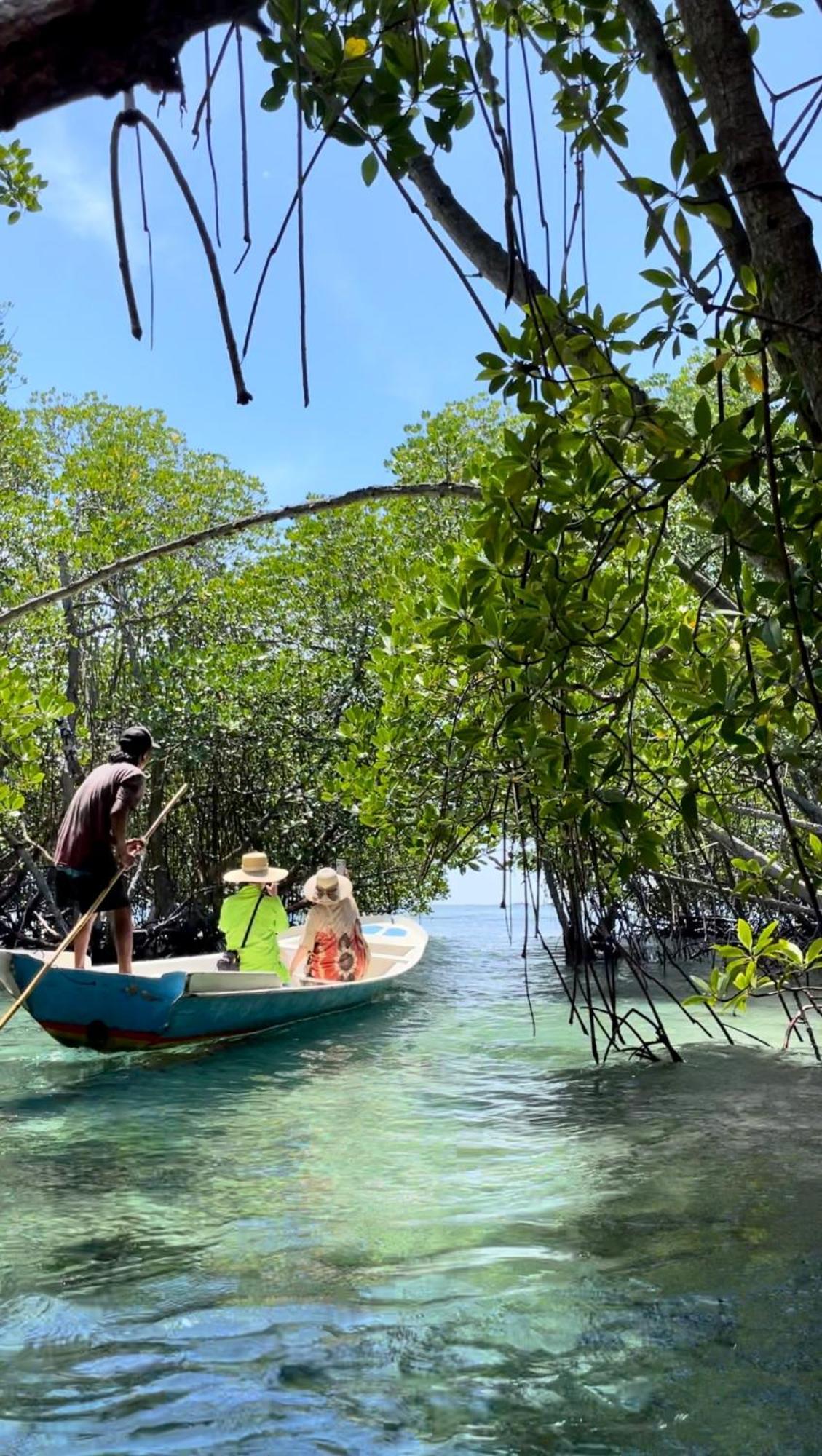 Mangrove Beach Hut Lembongan Exteriér fotografie